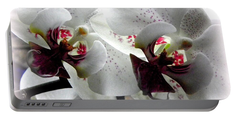 White Orchid Portable Battery Charger featuring the photograph Glowing White Orchids by Kim Galluzzo Wozniak