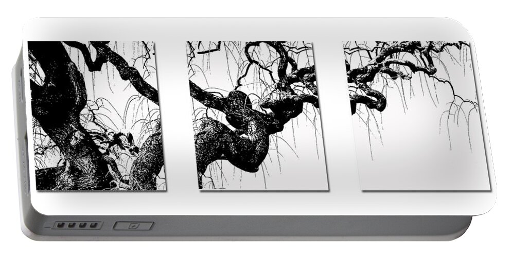Tree Portable Battery Charger featuring the photograph Gnarly Tree Triptych by TK Goforth