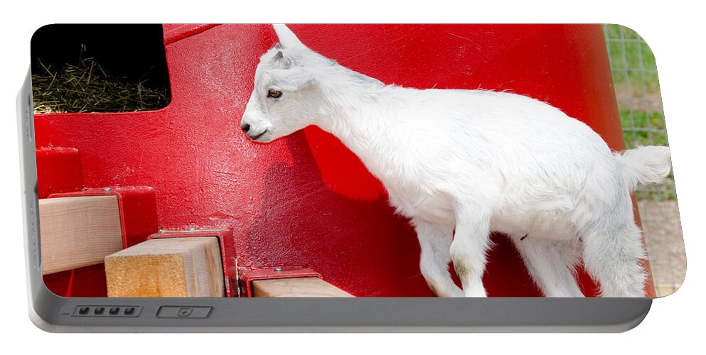 Goat Portable Battery Charger featuring the photograph Kid's Play by Laurel Best