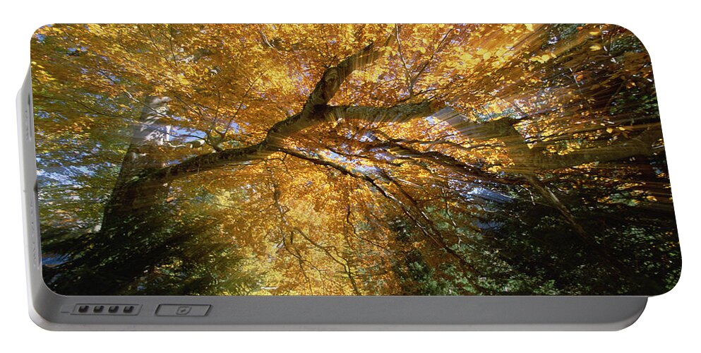 Feb0514 Portable Battery Charger featuring the photograph Golden-colored Autumn Foliage Abstract by Konrad Wothe