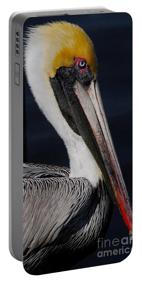 Pelican Portable Battery Charger featuring the photograph Golden Crown by Quinn Sedam