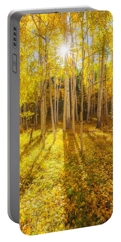 Aspens Portable Battery Charger featuring the photograph Golden by Darren White