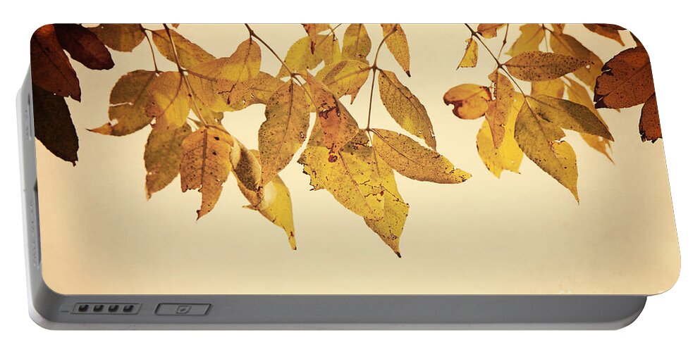 Tree Portable Battery Charger featuring the photograph Golden Leaves by Pam Holdsworth