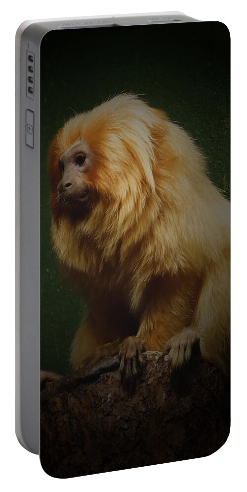 Golden Lion Tamarin Portable Battery Charger featuring the photograph Golden Lion Tamarin by Ernest Echols
