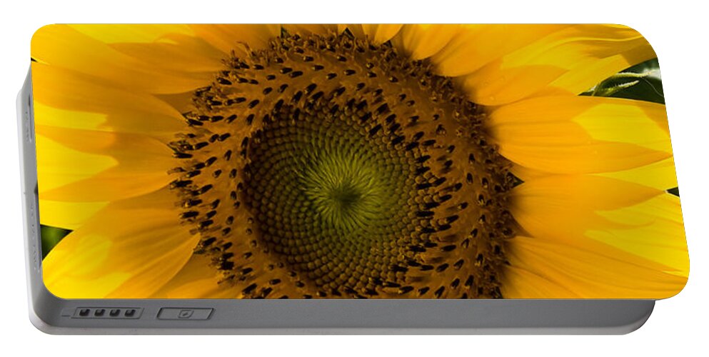 Flower Portable Battery Charger featuring the photograph Golden Petals by Ed Gleichman