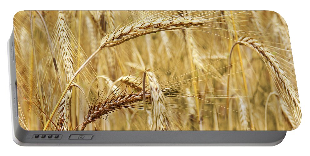 Agriculture Portable Battery Charger featuring the photograph Golden Wheat by Carlos Caetano