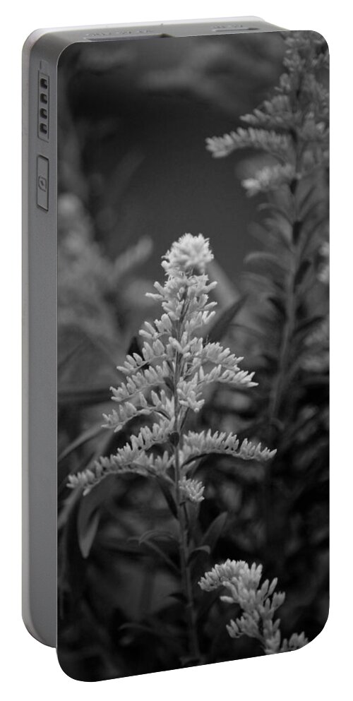 Goldenrod Bw Portable Battery Charger featuring the photograph Goldenrod BW by Maria Urso