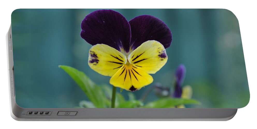 Flower Portable Battery Charger featuring the photograph Good Morning by Jim Hogg