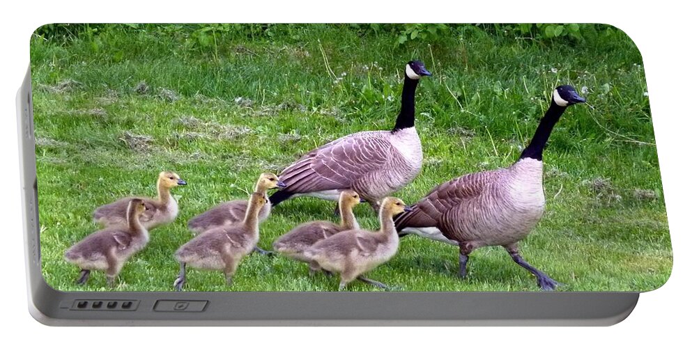 Canada Geese Portable Battery Charger featuring the photograph Goose Step by Will Borden
