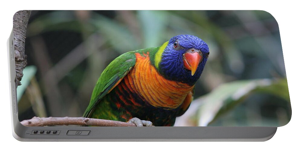 Lorie Portable Battery Charger featuring the photograph Curious Lorikeet by Valerie Collins