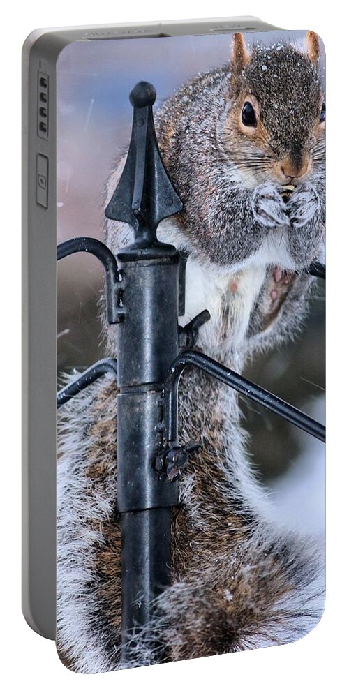 Squirrel Portable Battery Charger featuring the photograph Got to love Them by Carol Montoya