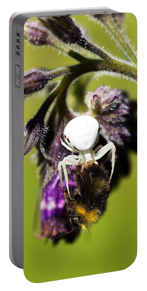 Insects Image Print Portable Battery Charger featuring the photograph Gotcha by David Davies