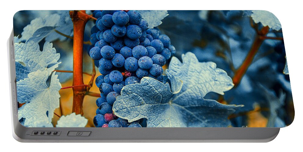 Blue Portable Battery Charger featuring the photograph Grapes - Blue by Hannes Cmarits
