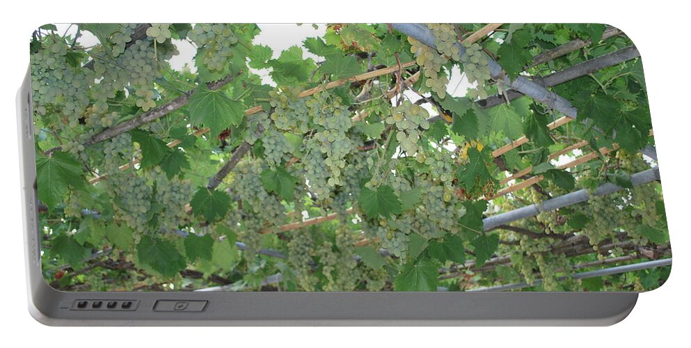 Corfu Portable Battery Charger featuring the photograph Grapes by George Katechis