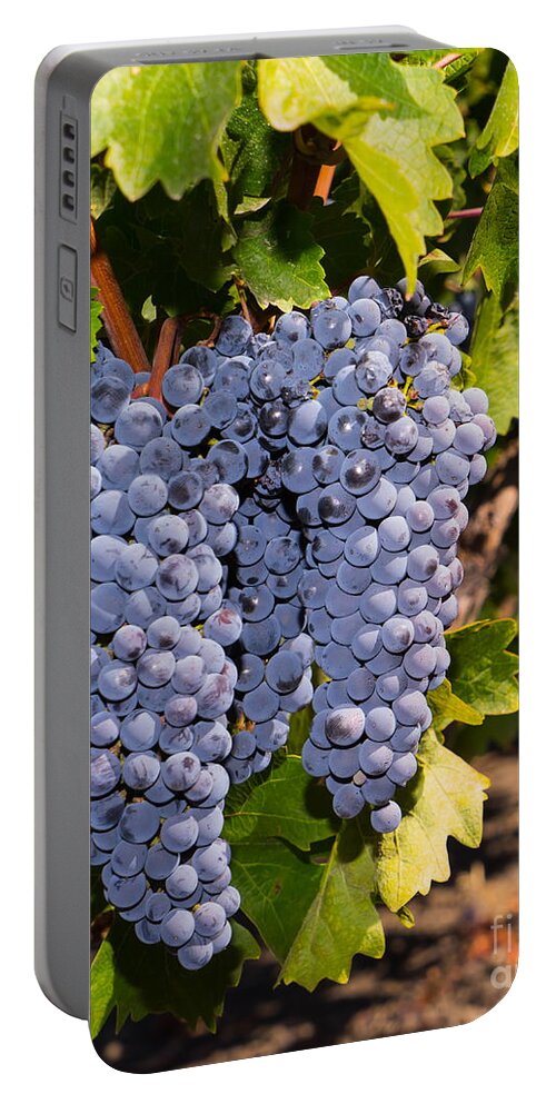 Napa Portable Battery Charger featuring the photograph Grapes on The Vines in The St Helena Vineyards Napa California DSC1729 vertical by Wingsdomain Art and Photography