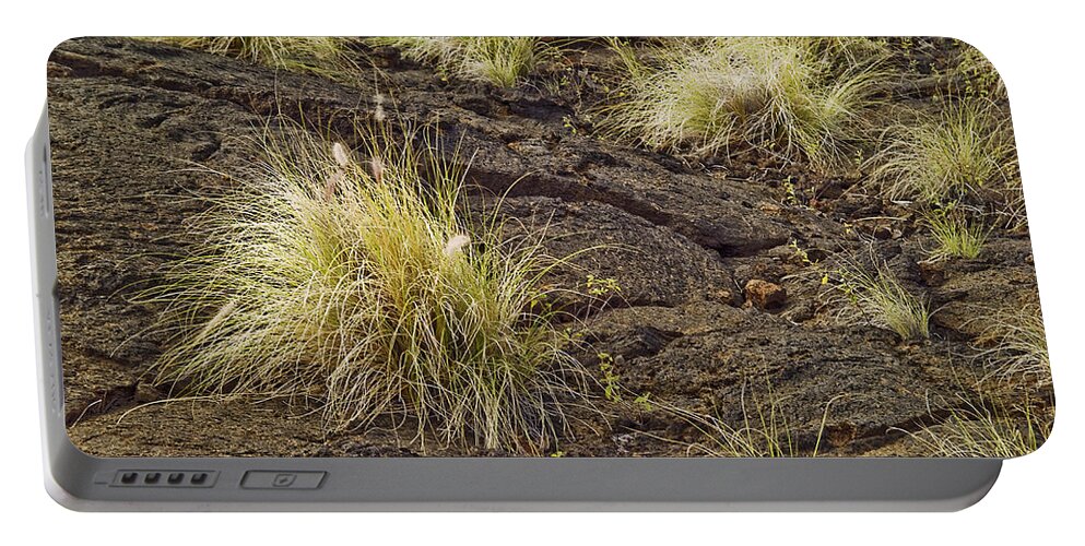 Grass Portable Battery Charger featuring the photograph Grass Clumps in Lava by Peter J Sucy