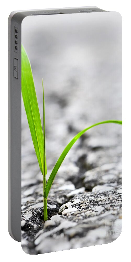 Grass Portable Battery Charger featuring the photograph Grass in asphalt by Elena Elisseeva