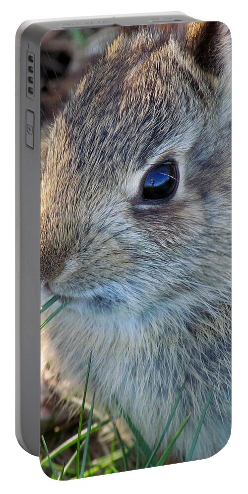 Bunny Portable Battery Charger featuring the photograph Grass-Munching Bunny by Lori Lafargue