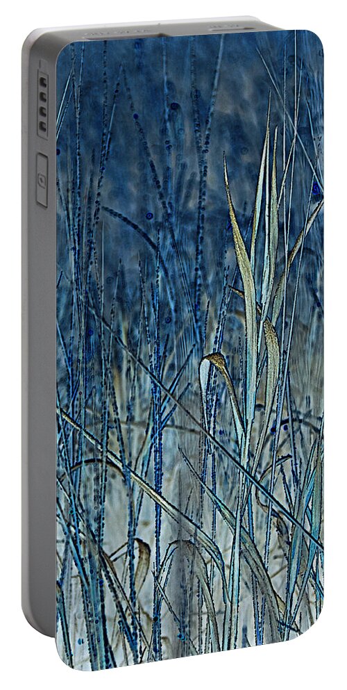 Grass Portable Battery Charger featuring the photograph Grass by Theresa Tahara