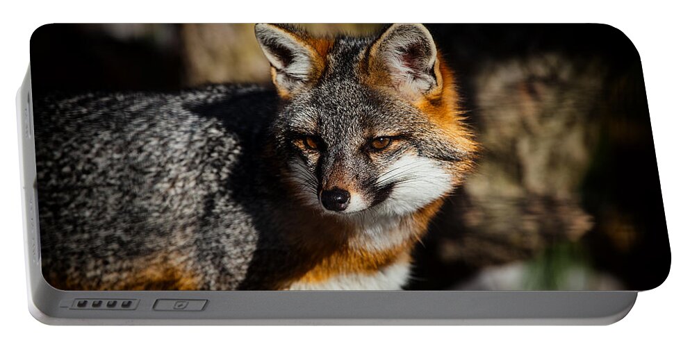 Gray Fox Portable Battery Charger featuring the photograph Gray Fox by Karol Livote