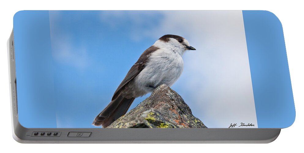 Animal Portable Battery Charger featuring the photograph Gray Jay With Blue Sky Background by Jeff Goulden