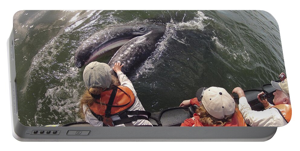 Feb0514 Portable Battery Charger featuring the photograph Gray Whale Calf And Tourists Baja by Flip Nicklin