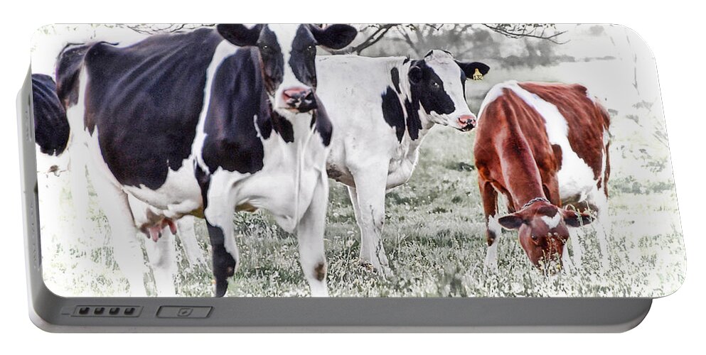  Portable Battery Charger featuring the photograph Busy Bovines by Dyle  Warren