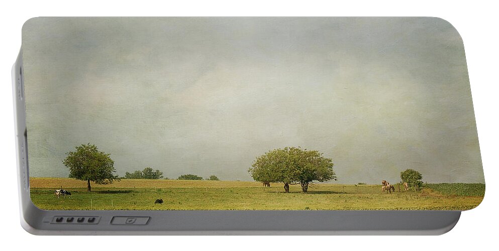  Cow Portable Battery Charger featuring the photograph Grazing by Kim Hojnacki