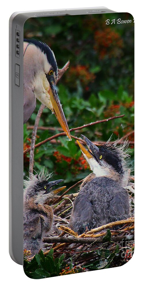 Great Blue Heron Portable Battery Charger featuring the photograph Great Blue Heron family by Barbara Bowen