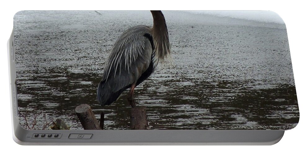 Great Blue Heron Portable Battery Charger featuring the photograph Great Blue Heron by Mim White