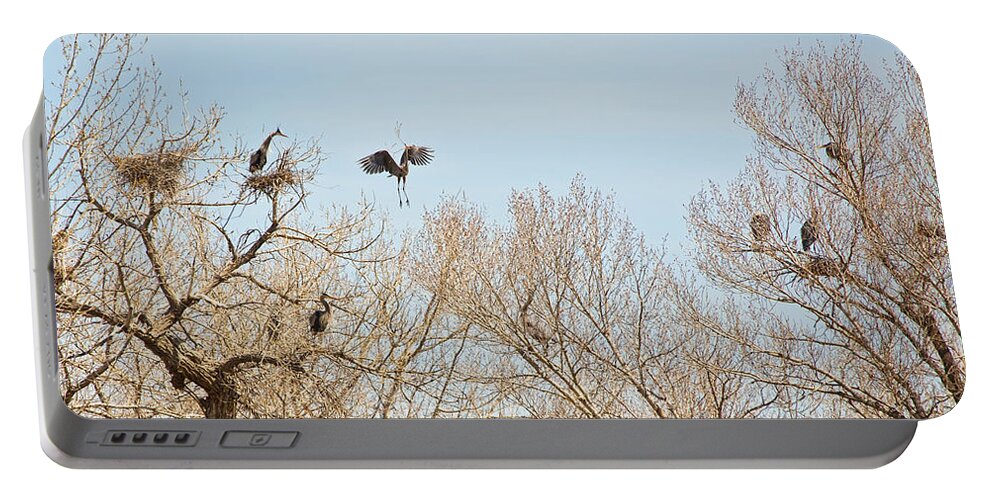 Great Blue Heron Portable Battery Charger featuring the photograph Great Blue Heron Nest Building 2 Panorama View by James BO Insogna