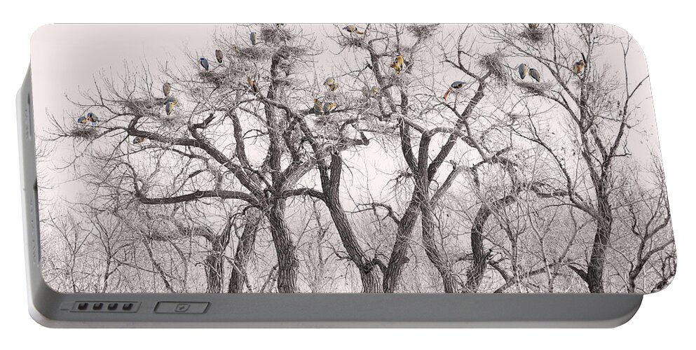 Animals Portable Battery Charger featuring the photograph Great Blue Herons Colonies by James BO Insogna