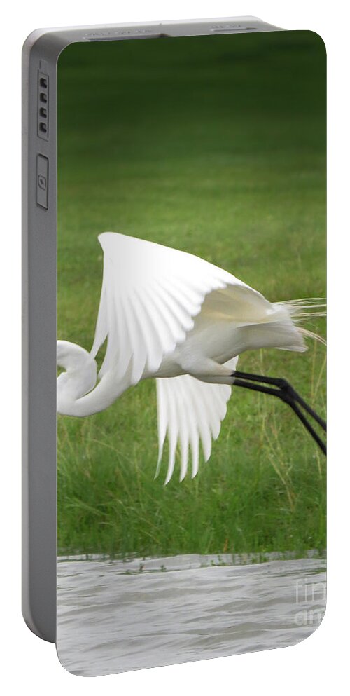 Egret Portable Battery Charger featuring the photograph Great Egret Over Land and Water by Ella Kaye Dickey
