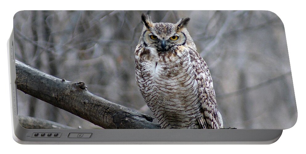 Birds Portable Battery Charger featuring the digital art Great Horned Owl by Ernest Echols