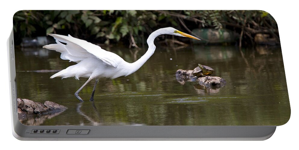 Great Blue Heron Photographs Portable Battery Charger featuring the photograph Great White Egret Looking For Fish 1 by Vernis Maxwell