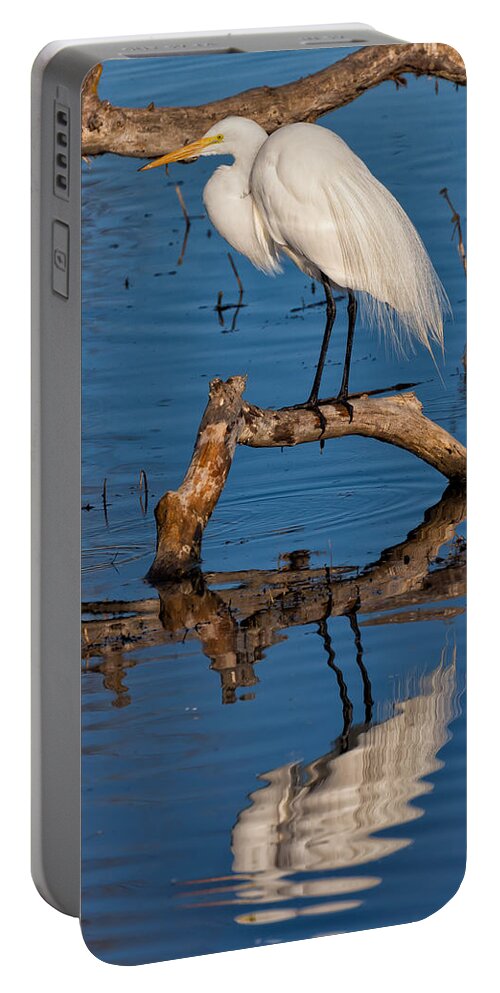 Nature Portable Battery Charger featuring the photograph Great White Heron Fishing by Kathleen Bishop