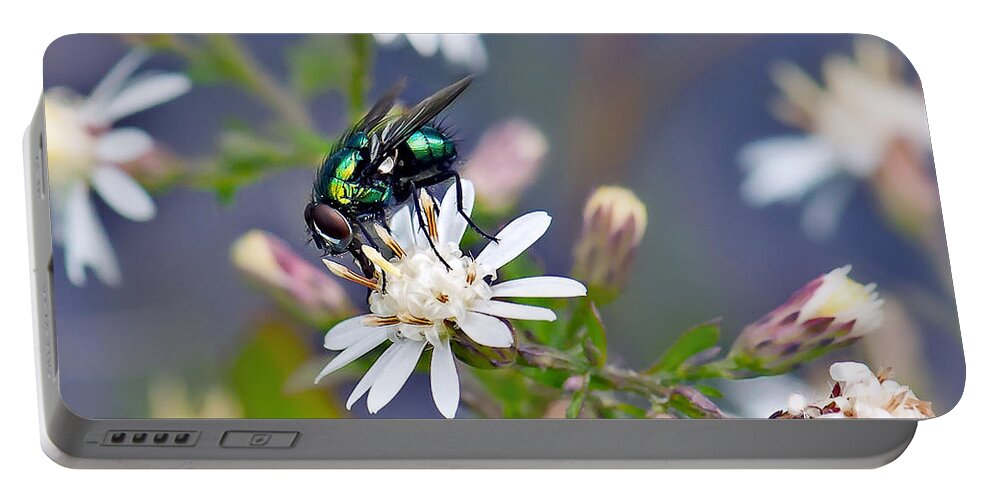 Green Bottle Fly Photo Portable Battery Charger featuring the photograph Green Bottle Fly by Gwen Gibson