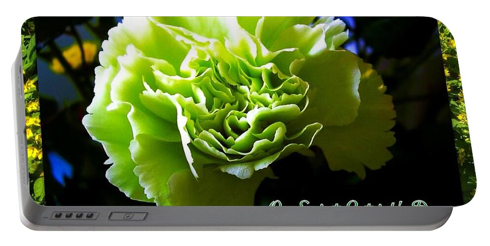 Green Carnations Portable Battery Charger featuring the photograph Green Carnation Greeting by Joan-Violet Stretch