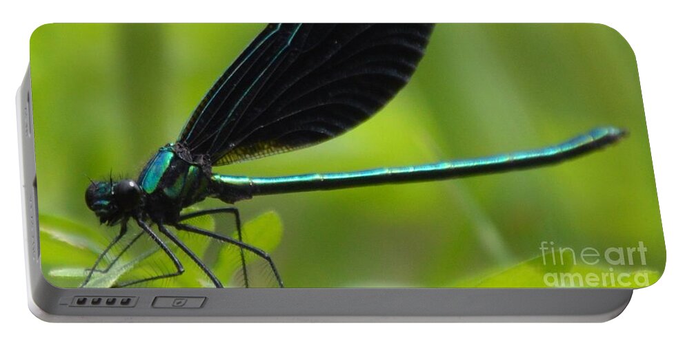 Damselfly Portable Battery Charger featuring the photograph Green Damselfly by Lynellen Nielsen