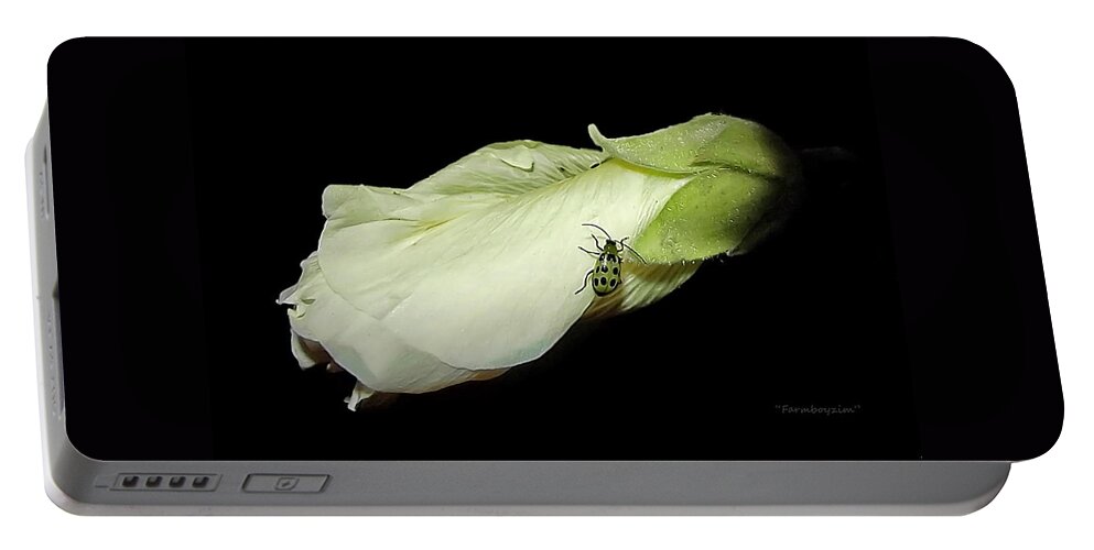 Flowers Portable Battery Charger featuring the photograph Green is Good by Harold Zimmer
