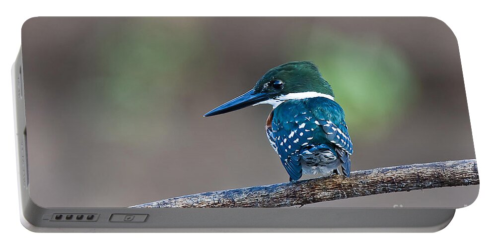 Bird Portable Battery Charger featuring the photograph Green Kingfisher by Jean-Luc Baron