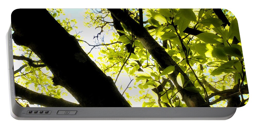 Nature Portable Battery Charger featuring the photograph Green Leaf Glow by Joseph Hedaya