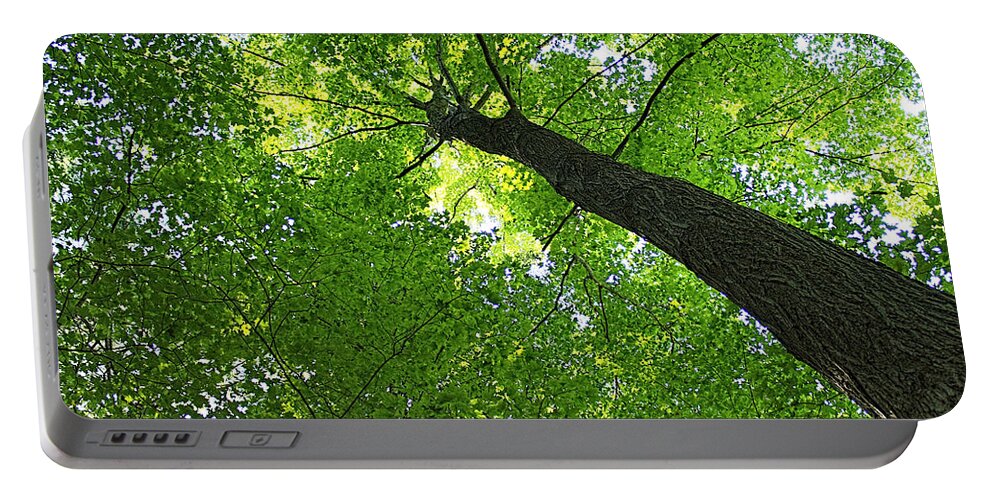 Tree Portable Battery Charger featuring the photograph Green Maple Canopy by Barbara McMahon