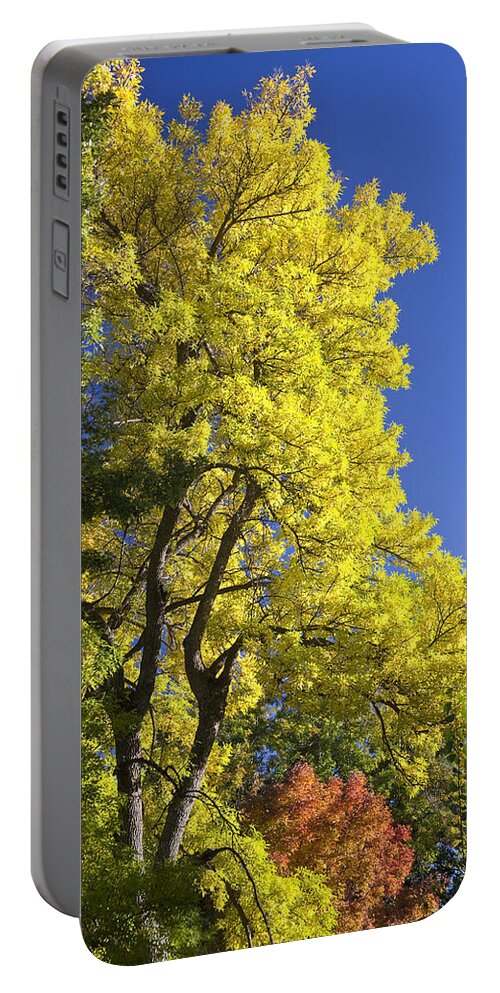 Autumn Portable Battery Charger featuring the photograph Green Orange Yellow and Blue by James BO Insogna