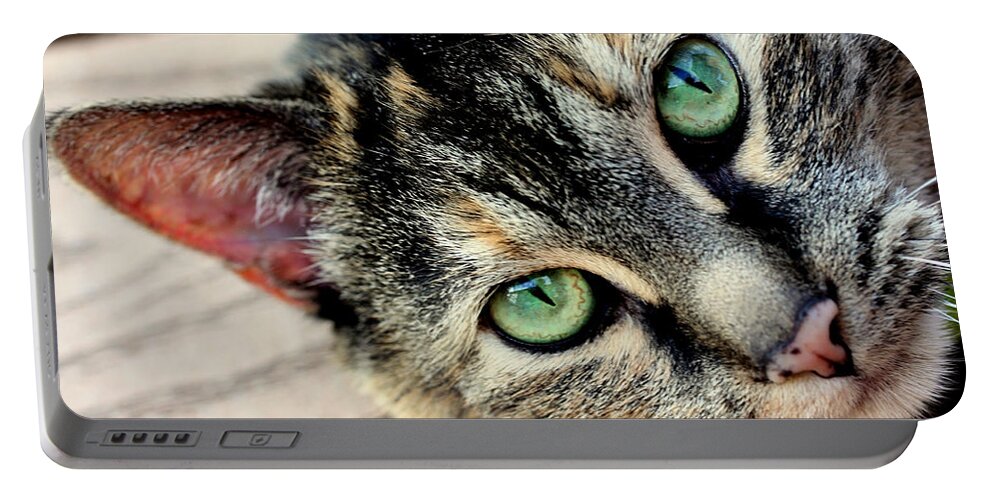 Feline Portable Battery Charger featuring the photograph Green Pepper by Andrea Platt