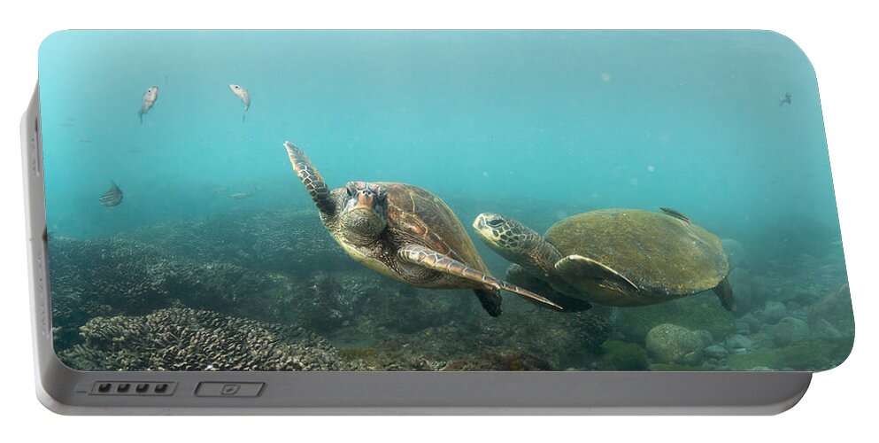 536793 Portable Battery Charger featuring the photograph Green Sea Turtle Pair Galapagos Islands by Tui De Roy
