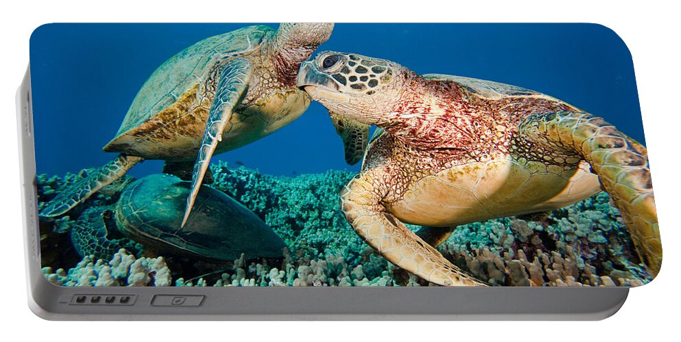 Green Sea Turtle Portable Battery Charger featuring the photograph Green Sea Turtles by David Fleetham