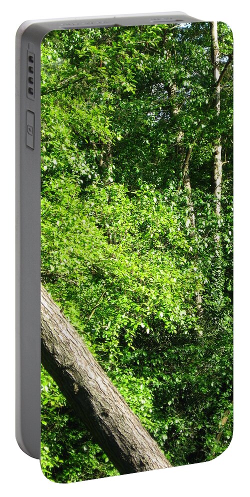 Trees Portable Battery Charger featuring the photograph Greenbelt Fall by David Trotter
