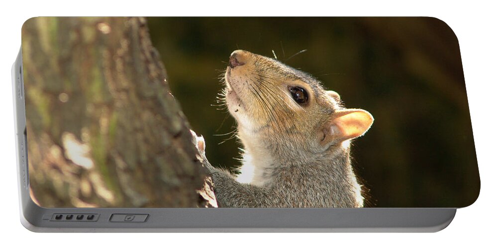 Squirrel Portable Battery Charger featuring the digital art Grey squirrel by Ron Harpham