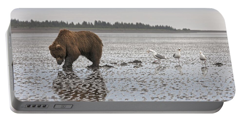 536572 Portable Battery Charger featuring the photograph Grizzly Bear Hunting Clams Lake Clark by Ingo Arndt